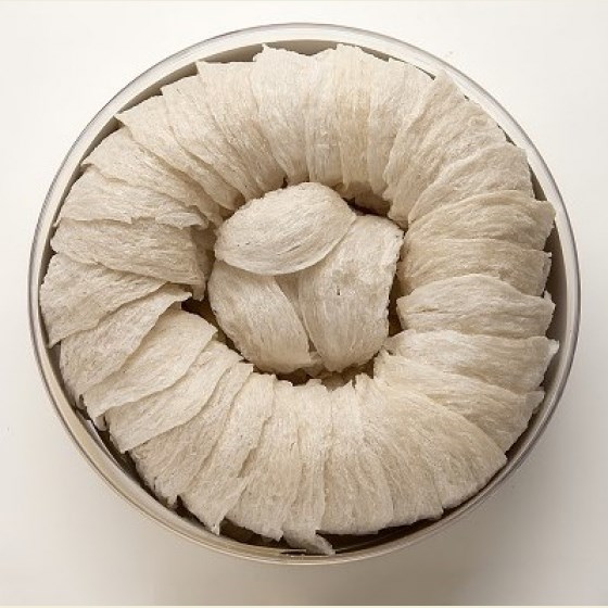 頂級特白大燕盞 75g 150g 300g 600g 頂級燕窩 燕窩 燕盞 SGS檢驗合格 美術藥局 公司貨