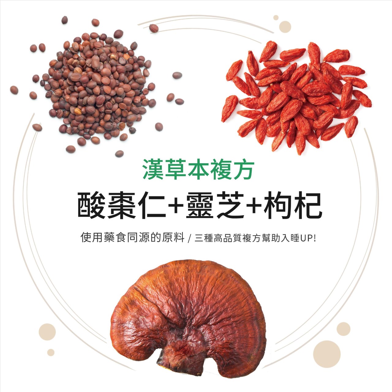 明日益生菌 30顆/包 夜間好眠 茶胺酸 酸棗仁 靈芝 枸杞 漢草本複方 益生菌 美術藥局 公司貨【限時買一送一】