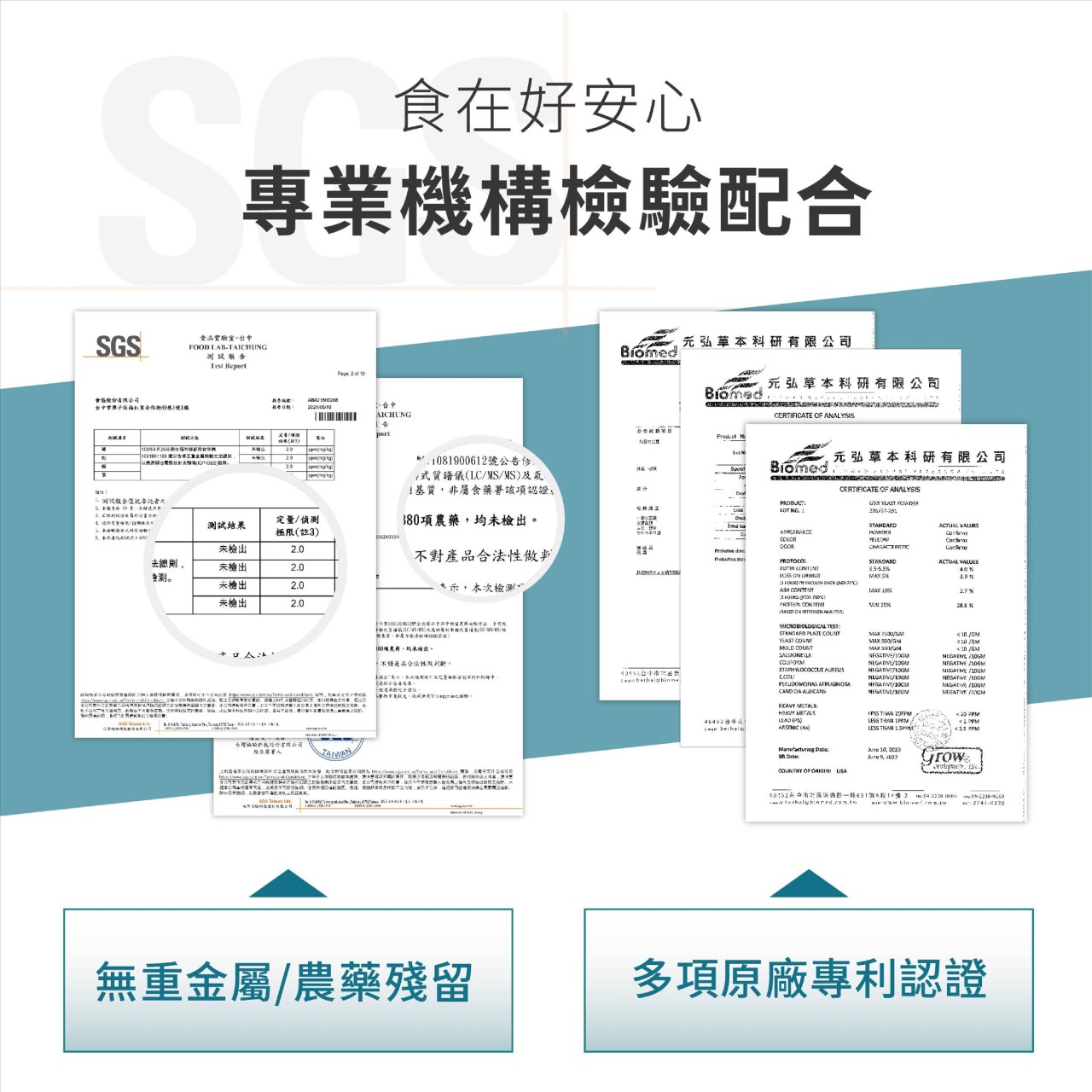 明日益生菌 30顆/包 夜間好眠 茶胺酸 酸棗仁 靈芝 枸杞 漢草本複方 益生菌 美術藥局 公司貨【限時買一送一】